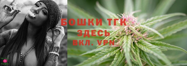 ALPHA-PVP Гусев