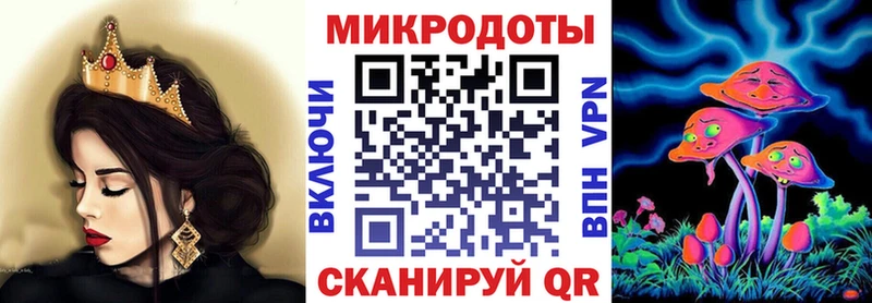 Псилоцибиновые грибы Cubensis  Купить где  Сольцы 